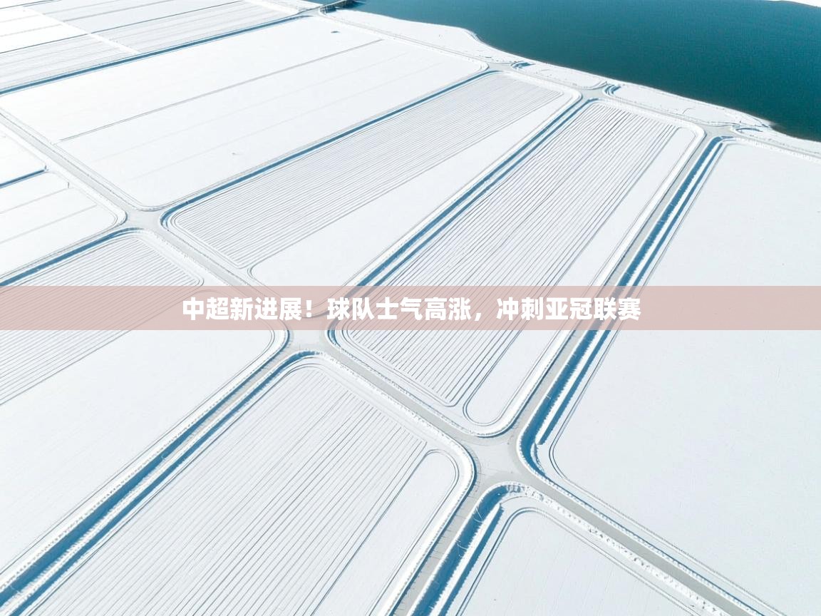 开云体育新人指引-中超新进展!球队士气高涨,冲刺亚冠联赛  第3张