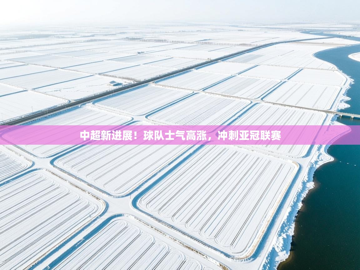 开云体育新人指引-中超新进展!球队士气高涨,冲刺亚冠联赛  第2张