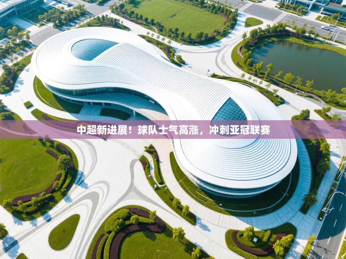 开云体育新人指引-中超新进展!球队士气高涨,冲刺亚冠联赛  第4张
