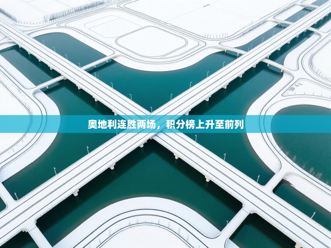 云开体育app网页版入口-奥地利连胜两场，积分榜上升至前列  第3张