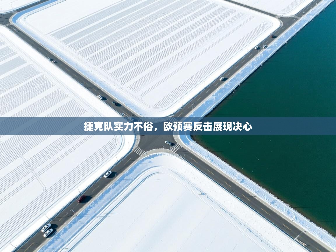 云开官网-捷克队实力不俗，欧预赛反击展现决心  第3张