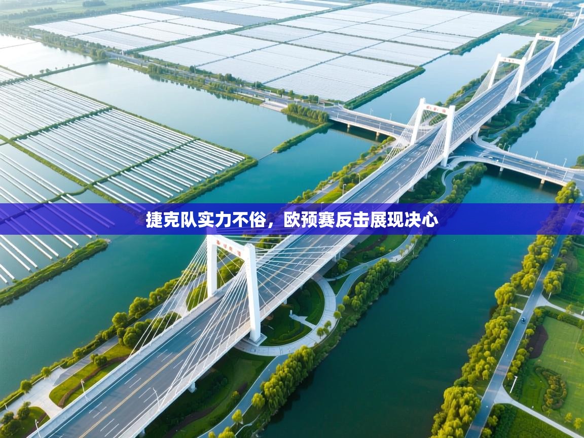 云开官网-捷克队实力不俗，欧预赛反击展现决心  第4张