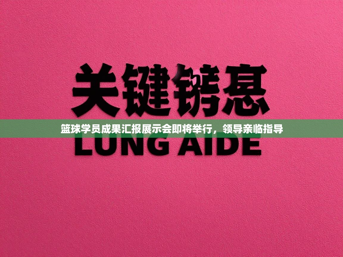 开云体育app登录入口-篮球学员成果汇报展示会即将举行，领导亲临指导  第2张